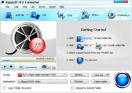 Bigasoft FLV Converter screenshot